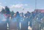 Yonif 734/SNS dan Polres Pegunungan Bintang Musnahkan Ganja, Perkuat Sinergi Berantas Narkoba
